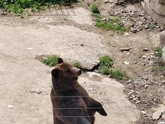 -哈尔滨北方森林动物园