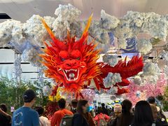 -河内内排国际机场