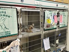 -美联众合动物医院·24h京西诊疗中心