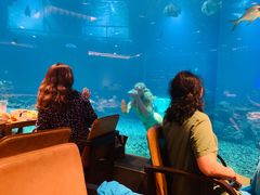 -海棠湾洲际-涛·海底餐厅·美人鱼·自助餐·海底隧道
