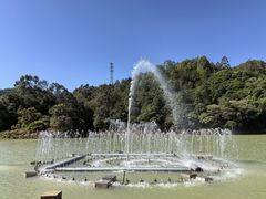 -广州白江湖森林公园