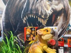 -TOYSRUS玩具反斗城(上海万象城店)