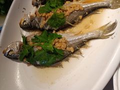-山东老家(科韵分店)