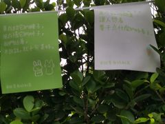 -金海湾滨江公园