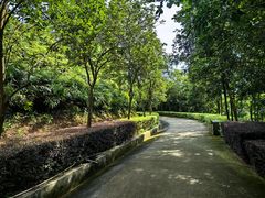 -田心森林公园