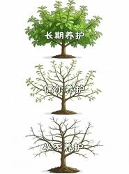-紫琪尔胸部养护中心
