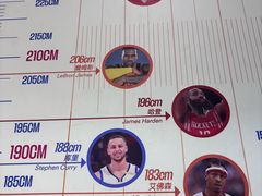 -翼速篮球·儿童体适能·中考体育(鲁能城店)