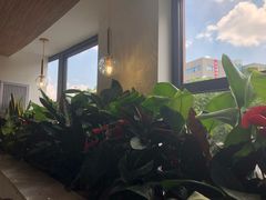 -立哥港式茶餐厅
