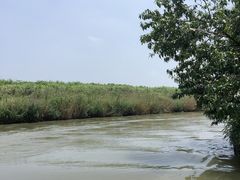 -同里国家湿地公园