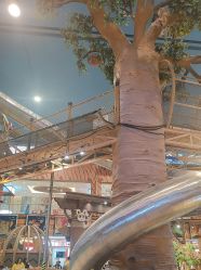 -卡通尼·Safari非洲探索乐园·生日会(金桥国际商业广场店)