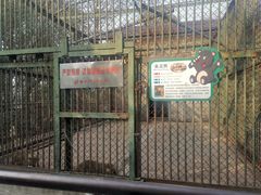 -合肥野生动物园