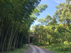 -黄公望隐居地