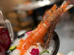 阿根廷大红虾-煲宫猪肚鸡(晶品店)
