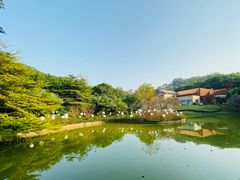 -广州雕塑公园