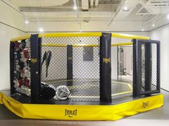 -FLARE STAR FITNESS(复地活力城店)