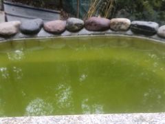 -花水湾第一村温泉大酒店