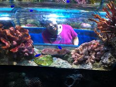 -暹罗海洋世界