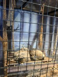 -酷嗒动物文化乐园(cutezoo西溪乐天城店)