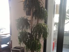-宴礼烤鸭本味菜(蠡县商业步行街店)