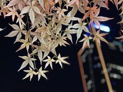 -艾薯夫妇Aysh(福田星河COCOPark店)