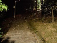-风云岭森林公园