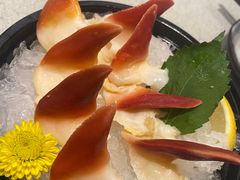 bb北极贝-万岁寿司(万国店)