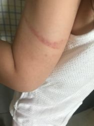 -北京市海淀区妇幼保健院(东南院区)