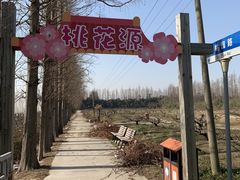 -上海长兴岛郊野公园