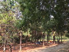 -艾溪湖湿地公园