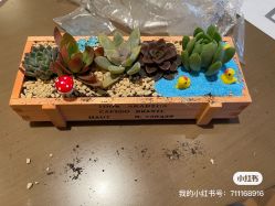 -金鹰国际月子中心(新街口店)