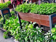 -BROAD面包路·欧式面包(龙湖时代C馆店)