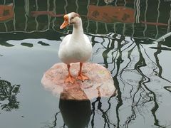 -龙华寺
