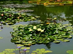 -国家植物园南园