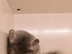 -龙猫仔乐园(惠福东路店)