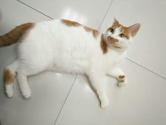 -惠康宠物医院(华能路店)