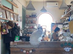 -小时光咖啡馆(开森度假森林店)
