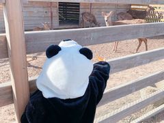 -安德鲁户外烧烤帐篷营地(马泉营店)