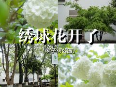 -孝子祠公园