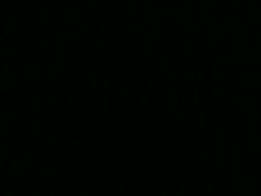 -紫燕百味鸡(鑫苑国际店)