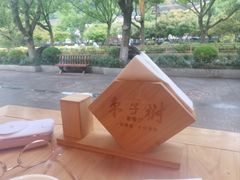-枣子树·素食餐厅(普陀山店)