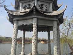 -杭州湾海上花田景区