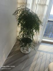 -HEYAN荷妍专业脱毛连锁机构
