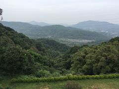 -广州市帽峰山景区