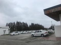 -光明驾校·学车·陪驾(杨浦店)