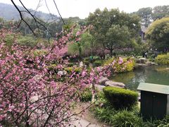 -白马涧龙池景区