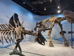 -辽宁古生物博物馆