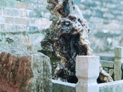 -昆明市金殿名胜区