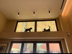 -217丰惠源抓饭(星湖街店)