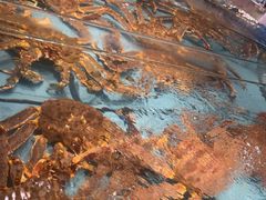 -渔傅·霞浦滩涂海鲜(建平店)