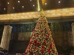 -盛宴自助餐厅(运达喜来登店)